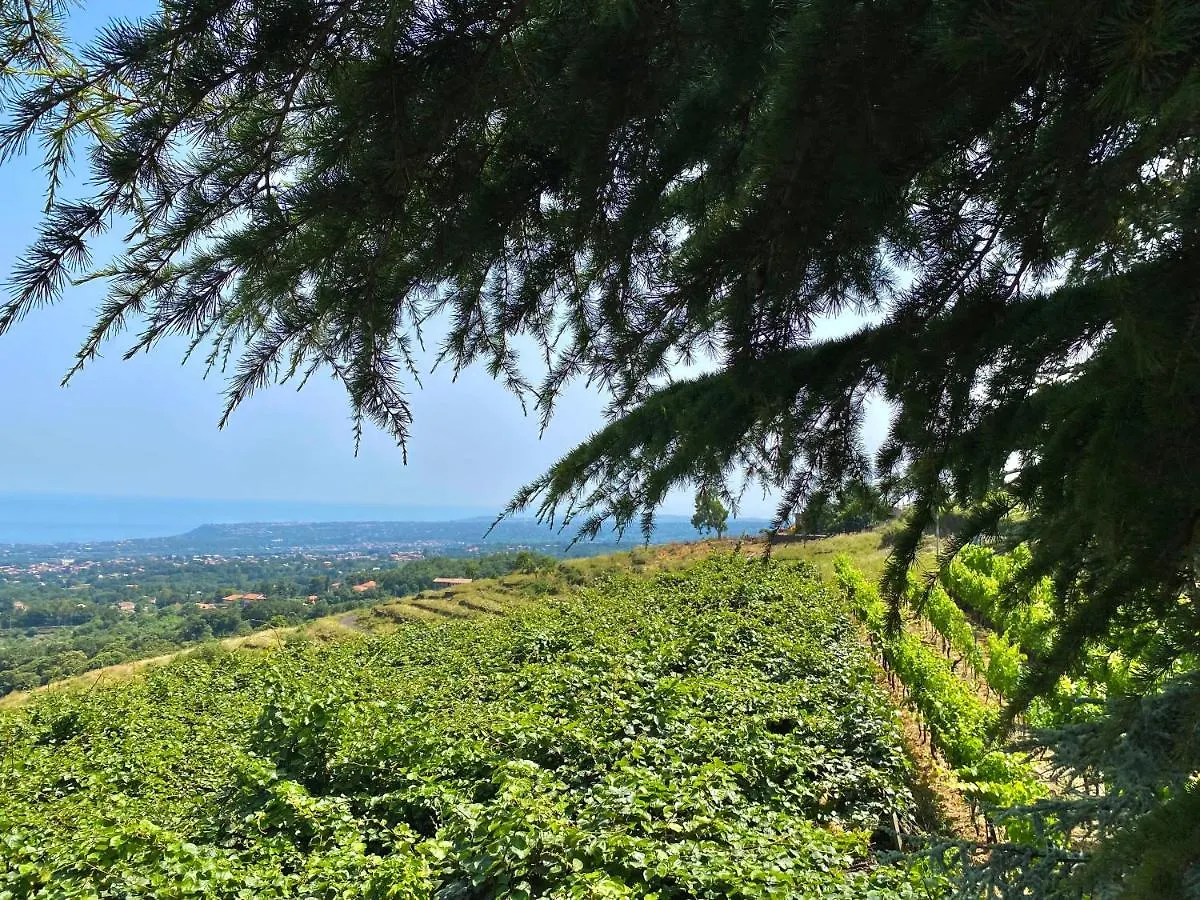 Tenuta Kiwi Dell'Etna Milo Holiday home